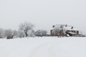 Зима усадьба база отдыха в витебской области