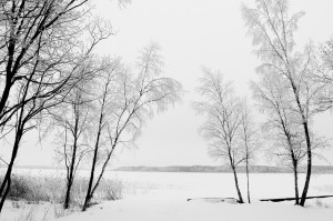 База отдыха в витебской области у озера зимой